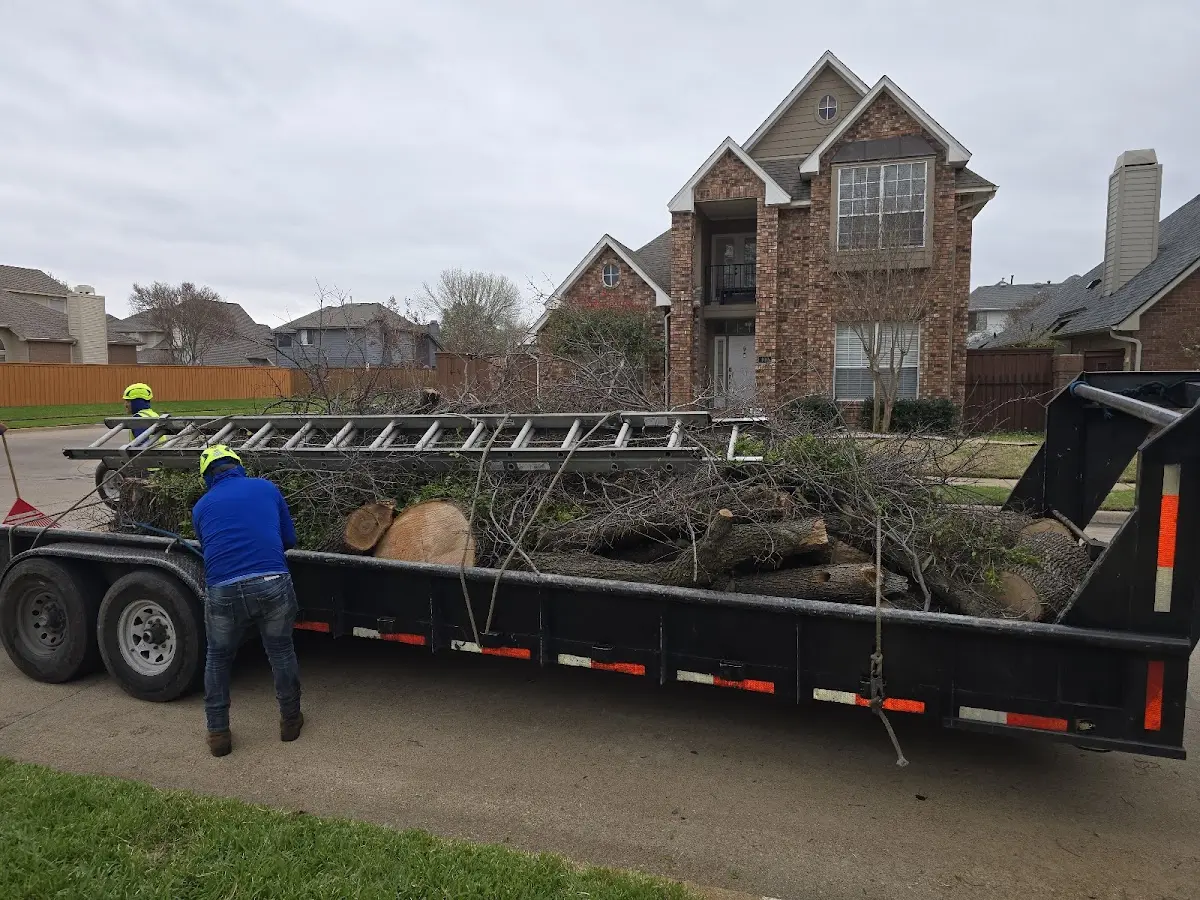 Expert Tree Fertilization with proper safety equipment in Keosauqua